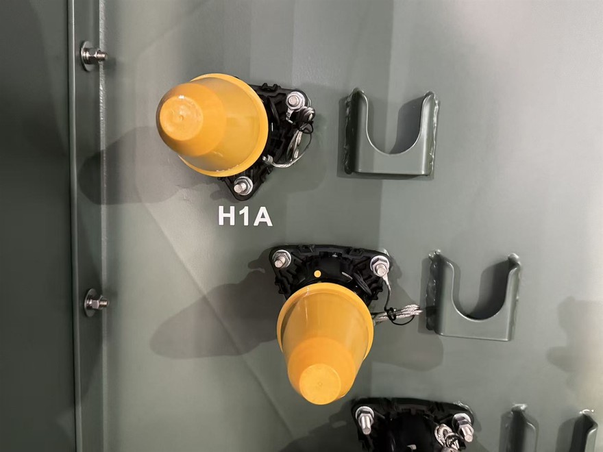 20251201092336815177 20251201092336815177