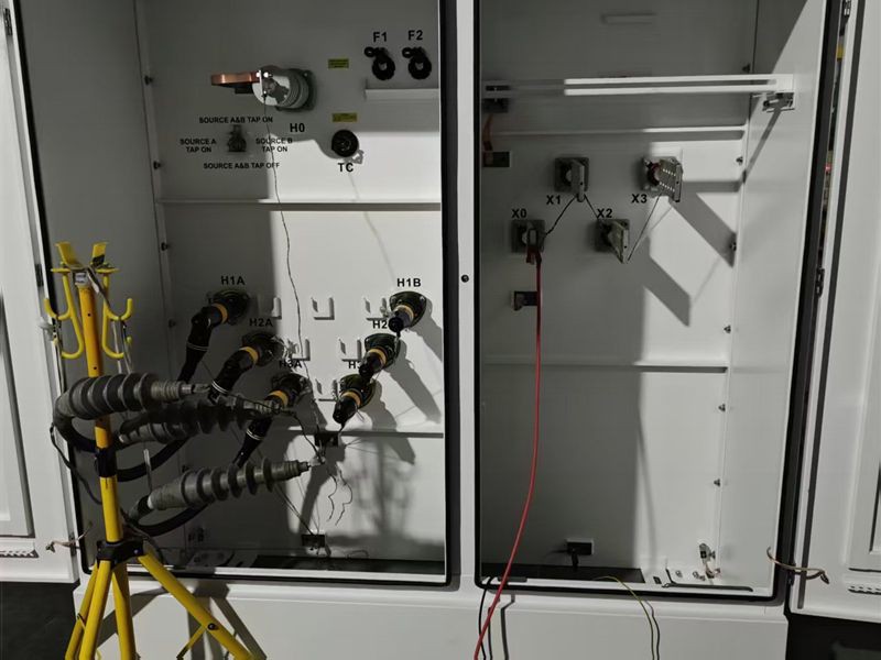 Induced Voltage Withstand Test Induced Voltage Withstand Test